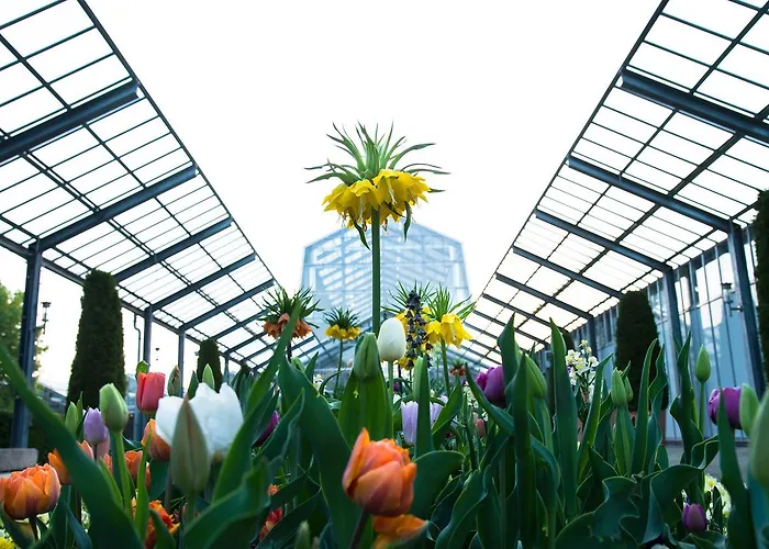 Dehner Blumen Hotel