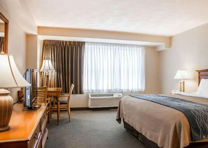 Comfort Inn At Newport Beach