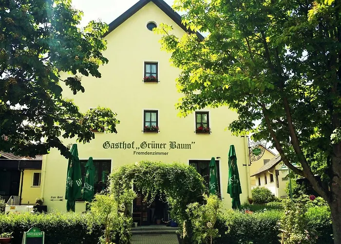Hotel-Landgasthof Gruener Baum - Dittigheim