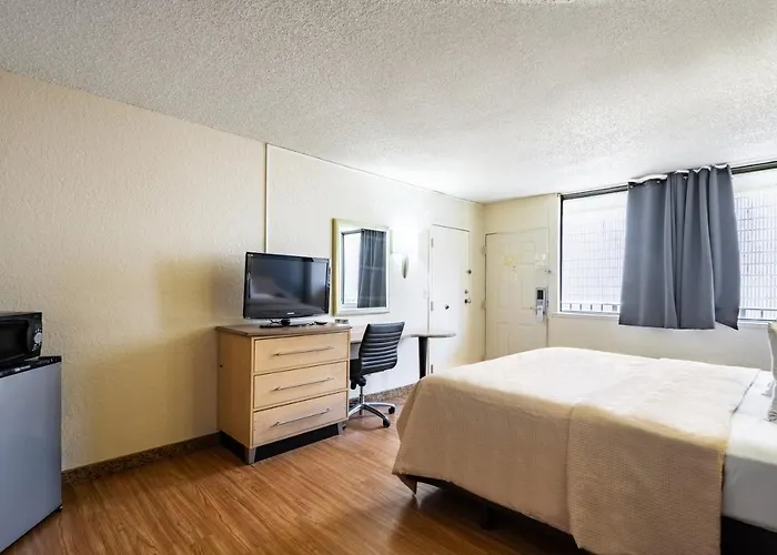 Econo Lodge Palm Harbor - Clearwater