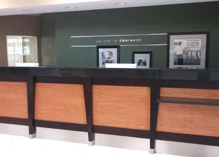 Surestay Plus Hotel By Best Western Clearwater Central