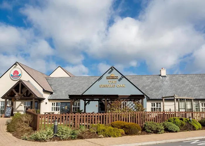 Sessile Oak, Llanelli By Marston'S Inns