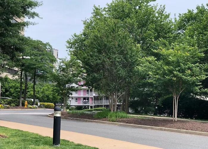 Americana Hotel