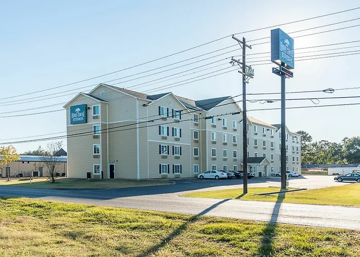 Siegel Select Alexandria