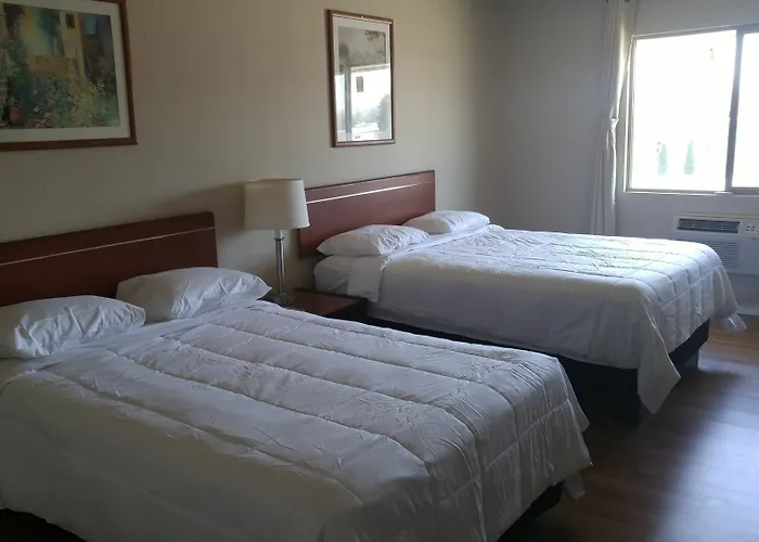 Loyalty Inn