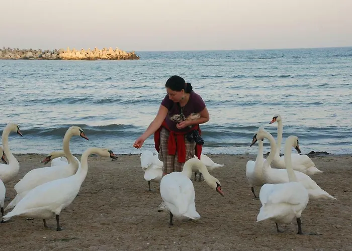 Vila Levent Mangalia
