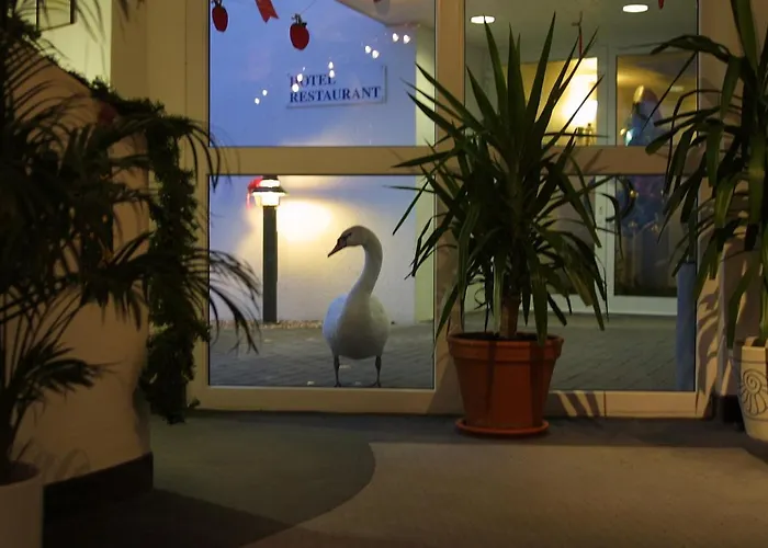 Seehotel Luisenhof