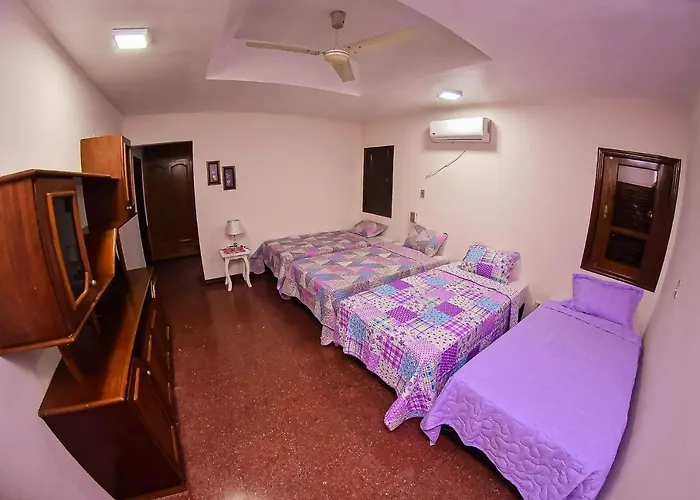 Palmera Hotel Cde