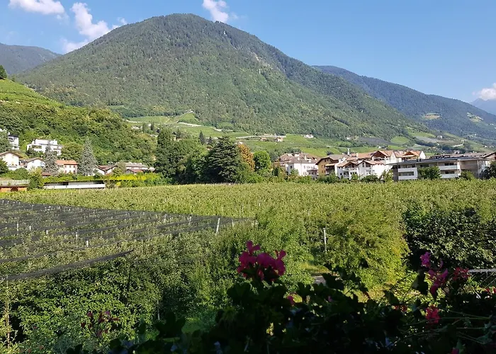 Pension Gartscheid