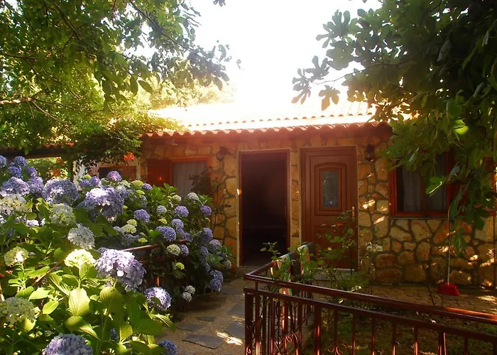 Alekas Studios